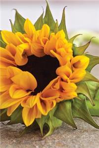 Big Orange Sunflower Journal
