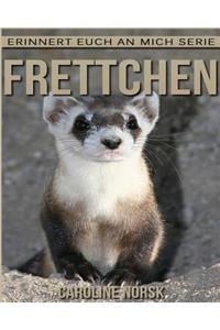 Frettchen