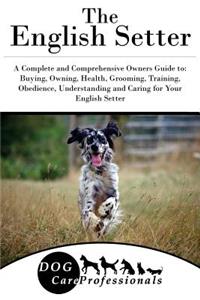 The English Setter