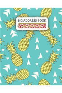 Big Address Book