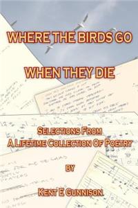 Where The Birds Go When They Die