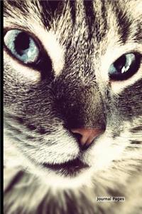 Journal Pages - Kitty Close Up