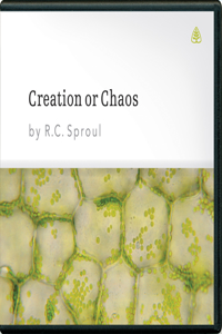 Creation or Chaos