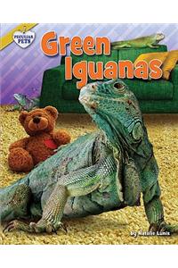 Green Iguanas