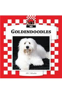 Goldendoodles