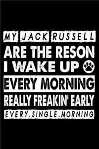 My Jack Russell Are The Reason I Wake Up Every Morning Really Freakin. Early Every.Single.Morning.