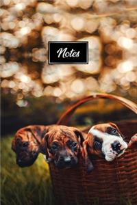 Boxer Dog Pup Puppy Doggie Notebook Bullet Journal Diary Composition Book Notepad - Three Babies In Basket