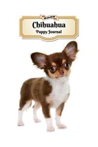 2020 Chihuahua Puppy Journal