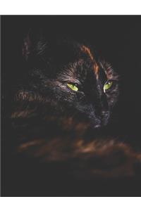 Black Cat Black Paper Notebook