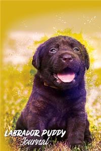 Labrador Puppy Journal