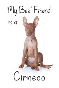 My best Friend is a Cirneco