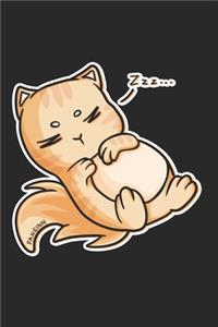 Lazy Cat Notebook