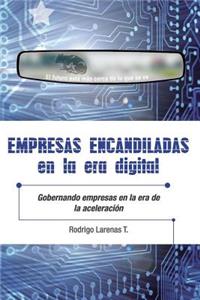 Empresas Encandiladas En La Era Digital