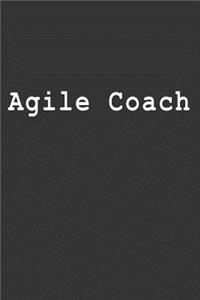 Agile Coach