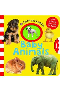 Turn & Learn Baby Animals