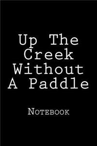 Up The Creek Without A Paddle