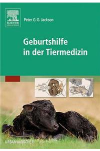 Geburtshilfe in Der Tiermedizin