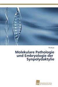 Molekulare Pathologie und Embryologie der Synpolydaktylie