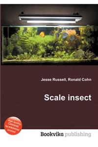 Scale Insect