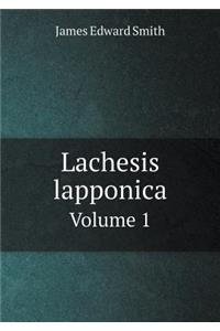 Lachesis lapponica Volume 1