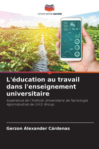 L'éducation au travail dans l'enseignement universitaire