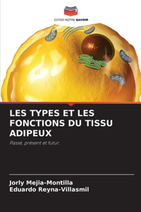 Les Types Et Les Fonctions Du Tissu Adipeux