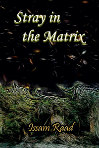 Stray in the Matrix