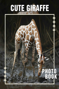 Cute Giraffe Photo Book