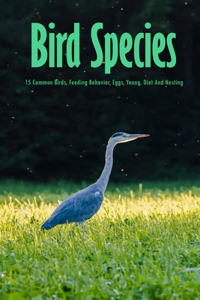 Bird Species