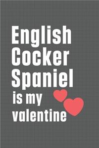 English Cocker Spaniel is my valentine