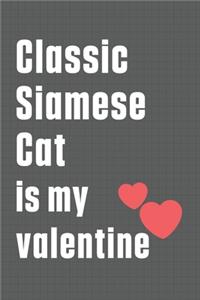 Classic Siamese Cat is my valentine