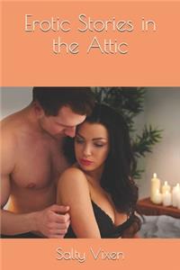 Erotic Stories in the Attic