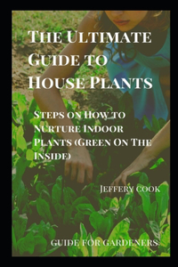 The Ultimate Guide to House Plants