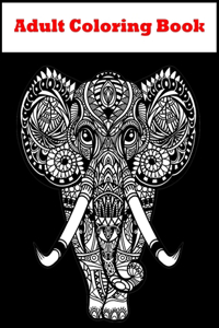 Adult Coloring Book