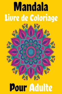 Mandala Livre de Coloriage Pour Adulte