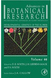 Developmental Genetics of the Flower
