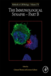 Immunological Synapse - Part B