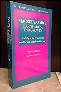 Macrodynamics Fluctuations And Growth