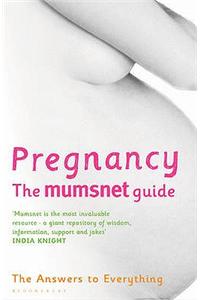 Pregnancy: The Mumsnet Guide