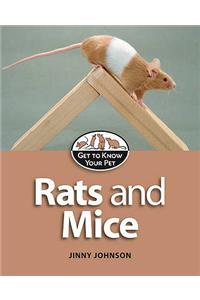 Rats and Mice