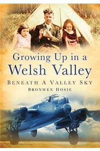 Growing Up in a Welsh Valley: Beneath a Valley Sky