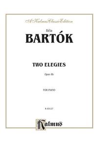 Two Elegies, Op. 88