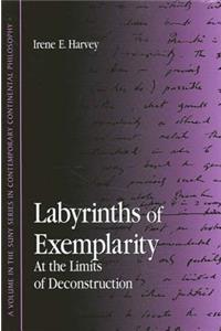 Labyrinths of Exemplarity