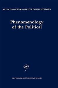 Phenomenology of the Political