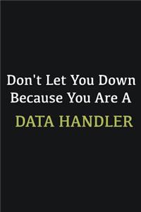 Don't let you down because you are a Data handler