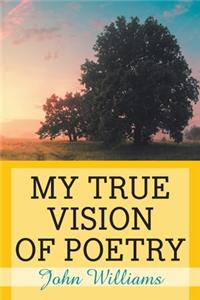 My True Vision of Poetry