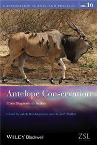 Antelope Conservation - From Diagnosis to Action