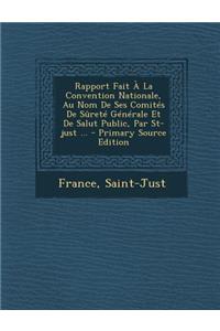 Rapport Fait À La Convention Nationale, Au Nom De Ses Comités De Sûreté Générale Et De Salut Public, Par St-just ...