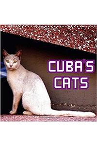 Cuba's Cats 2017
