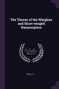Thorax of the Wingless and Short-winged Hymenoptera